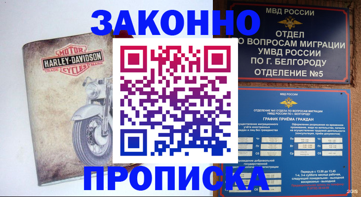 прописка для школы в Дорогобуже